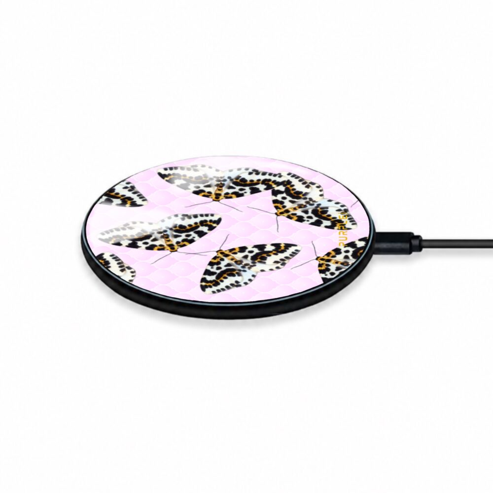 Magpie Moth - Belaidis Įkroviklis