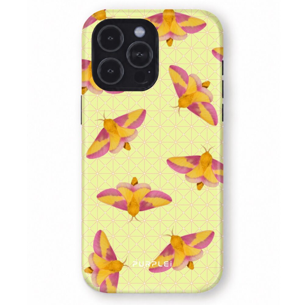 Rosy Maple Moth