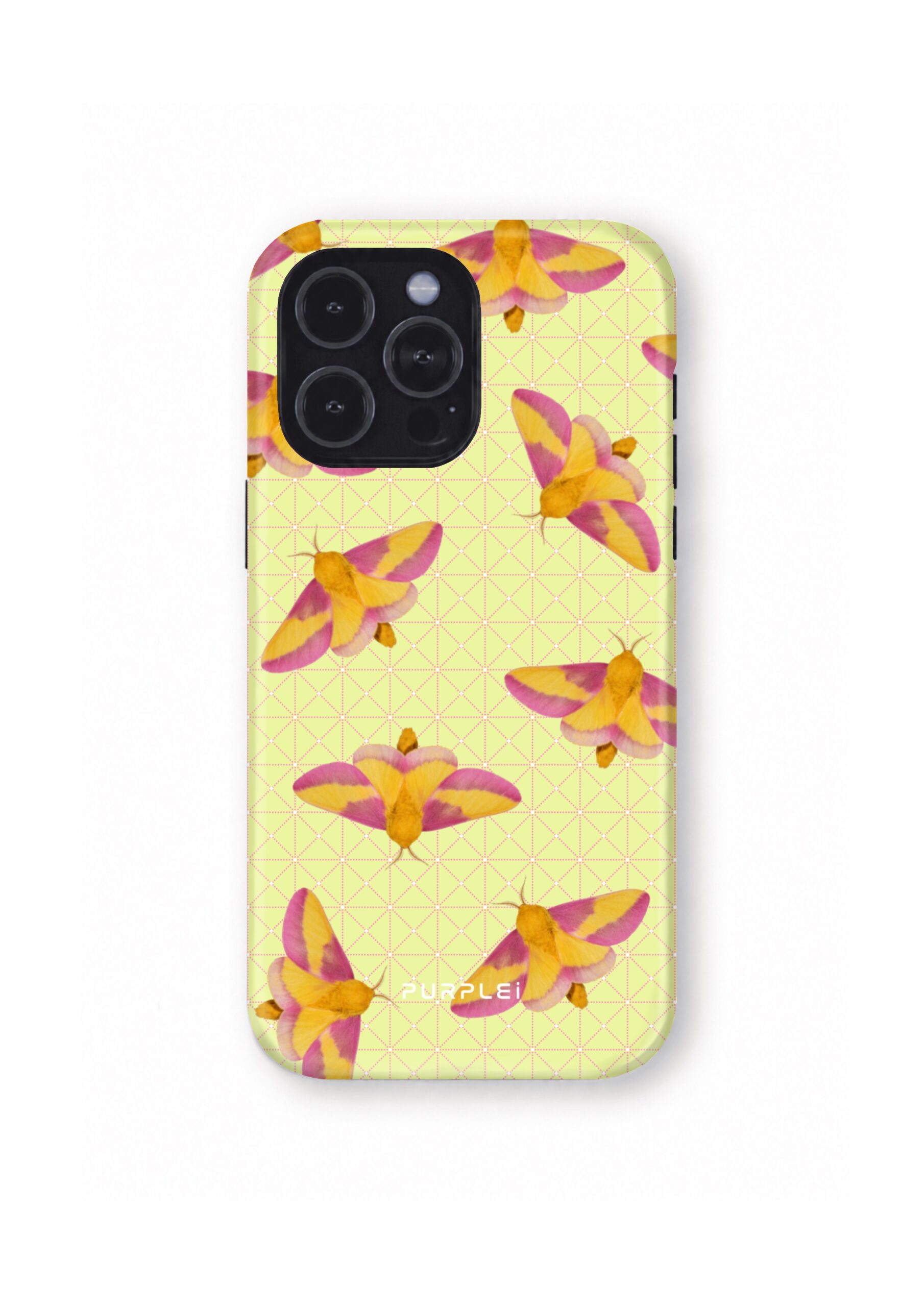 Rosy Maple Moth