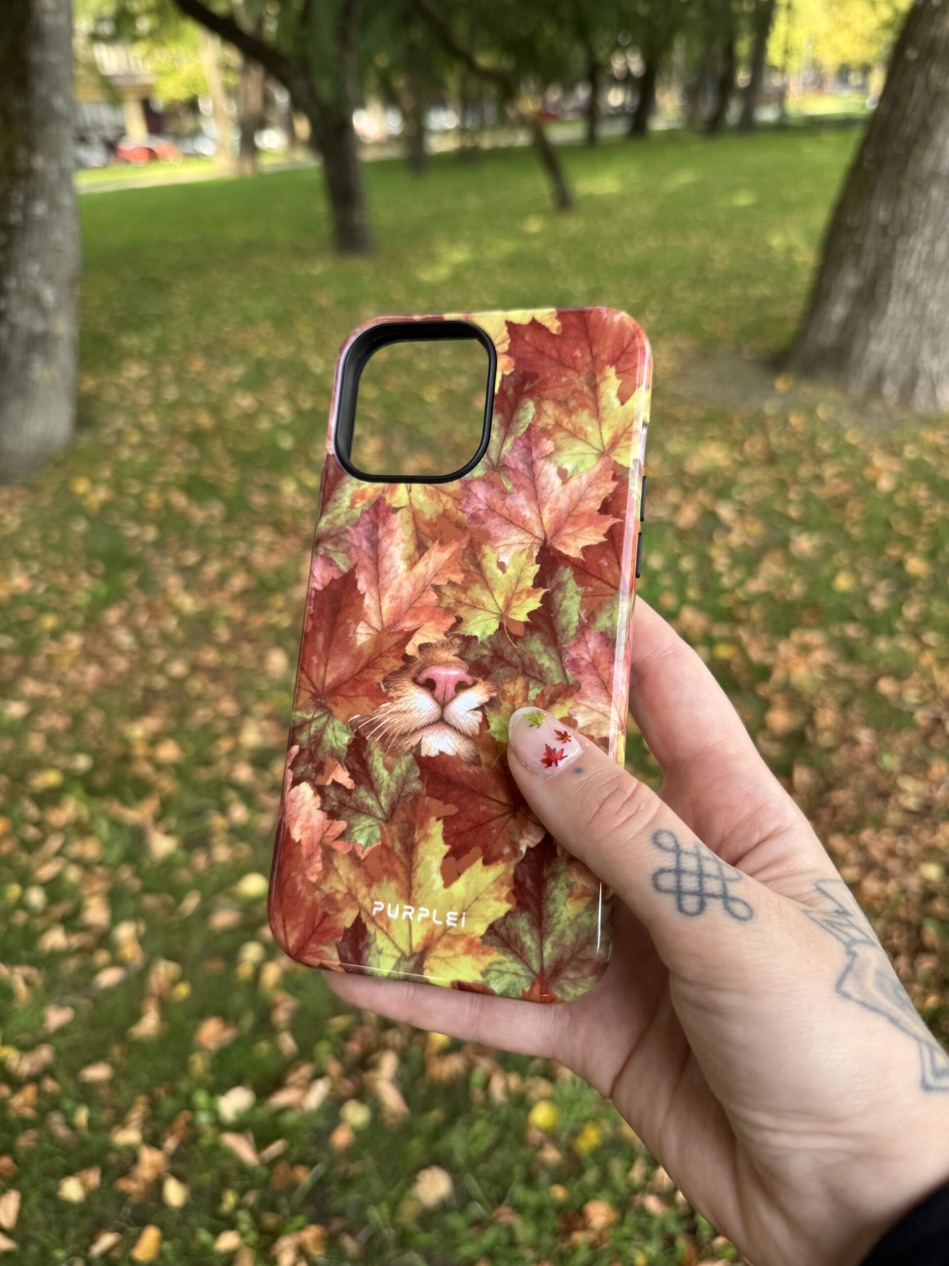 Cute Autumn - Image 2